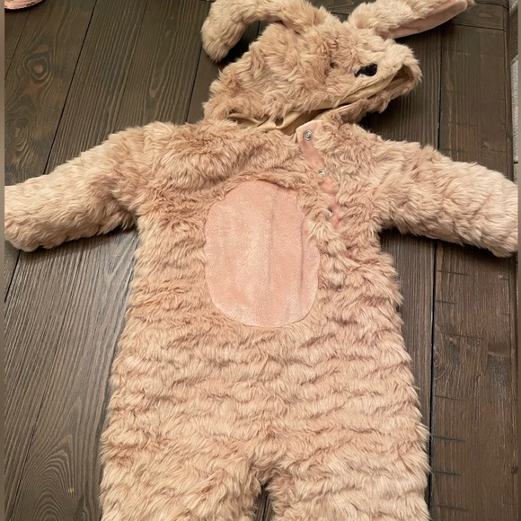 Pottery Barn Baby Dog Halloween Costume 0-6months - Picture 1 of 3